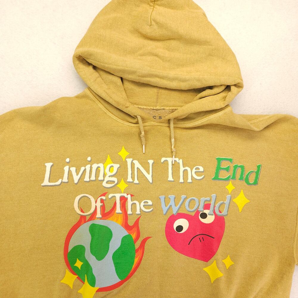 Pacsun Casual Graphic Pullover Long Sleeve Hoodie Mens Size Large L Tan